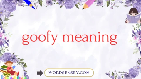 goofy meaning