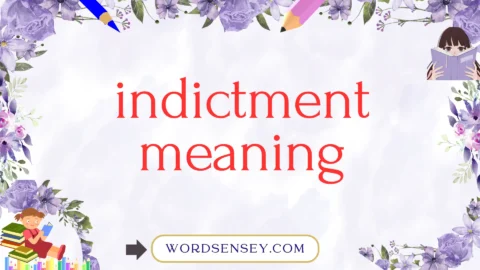 indictment meaning