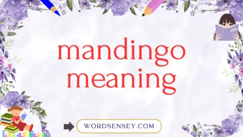 mandingo meaning