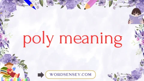 poly meaning