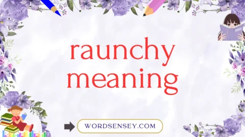 raunchy meaning