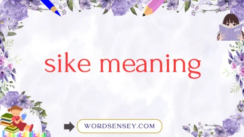 sike meaning
