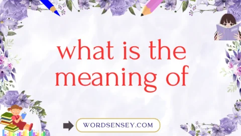 what is the meaning of