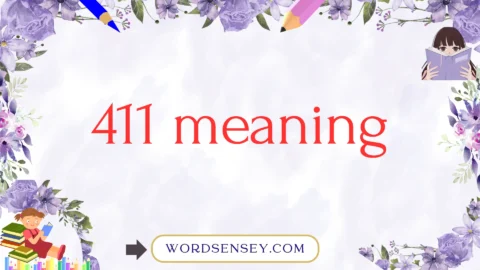 411 meaning