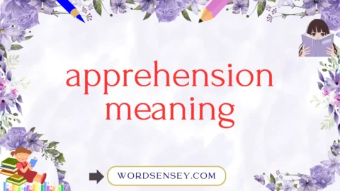apprehension meaning