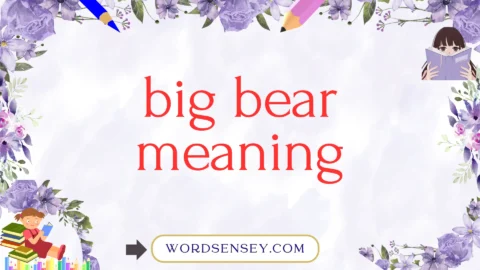 big bear meaning