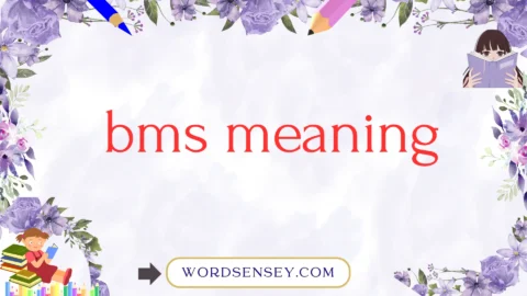 bms meaning