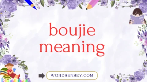 boujie meaning