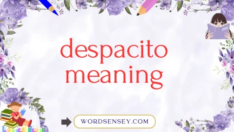 despacito meaning
