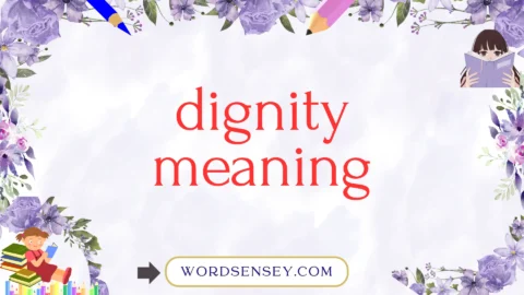 dignity meaning