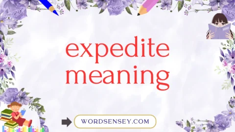 expedite meaning