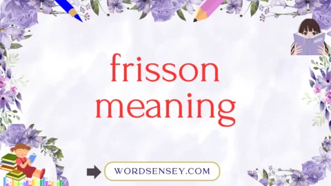 frisson meaning