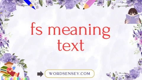 fs meaning text