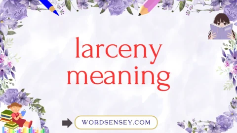 larceny meaning