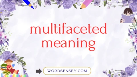 multifaceted meaning