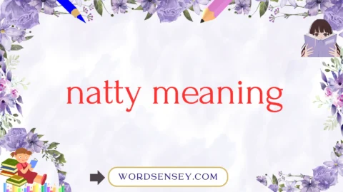 natty meaning