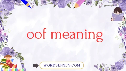oof meaning