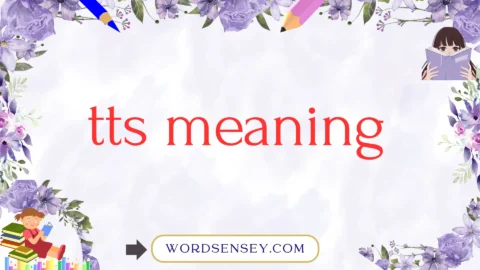 tts meaning
